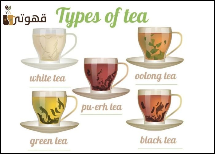 أشهر أنواع الشاي في العالم