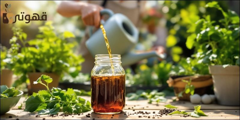 هل يمكن تخزين الشاي في مكان معرض للحرارة والضوء؟